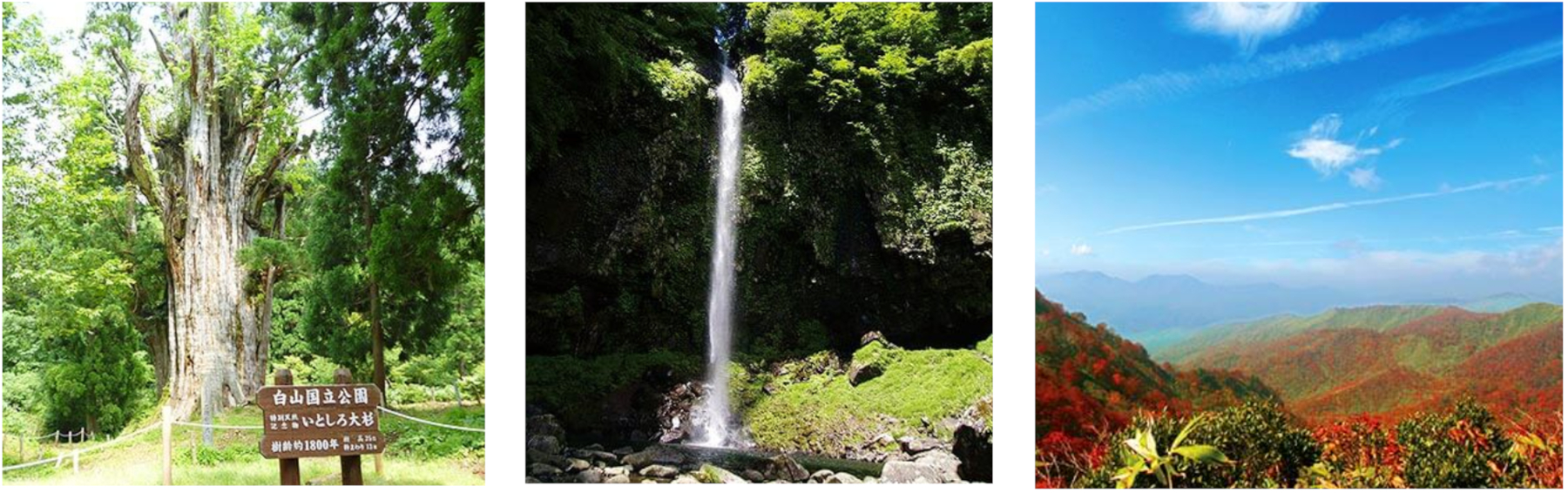 周辺には自然パワースポット多数