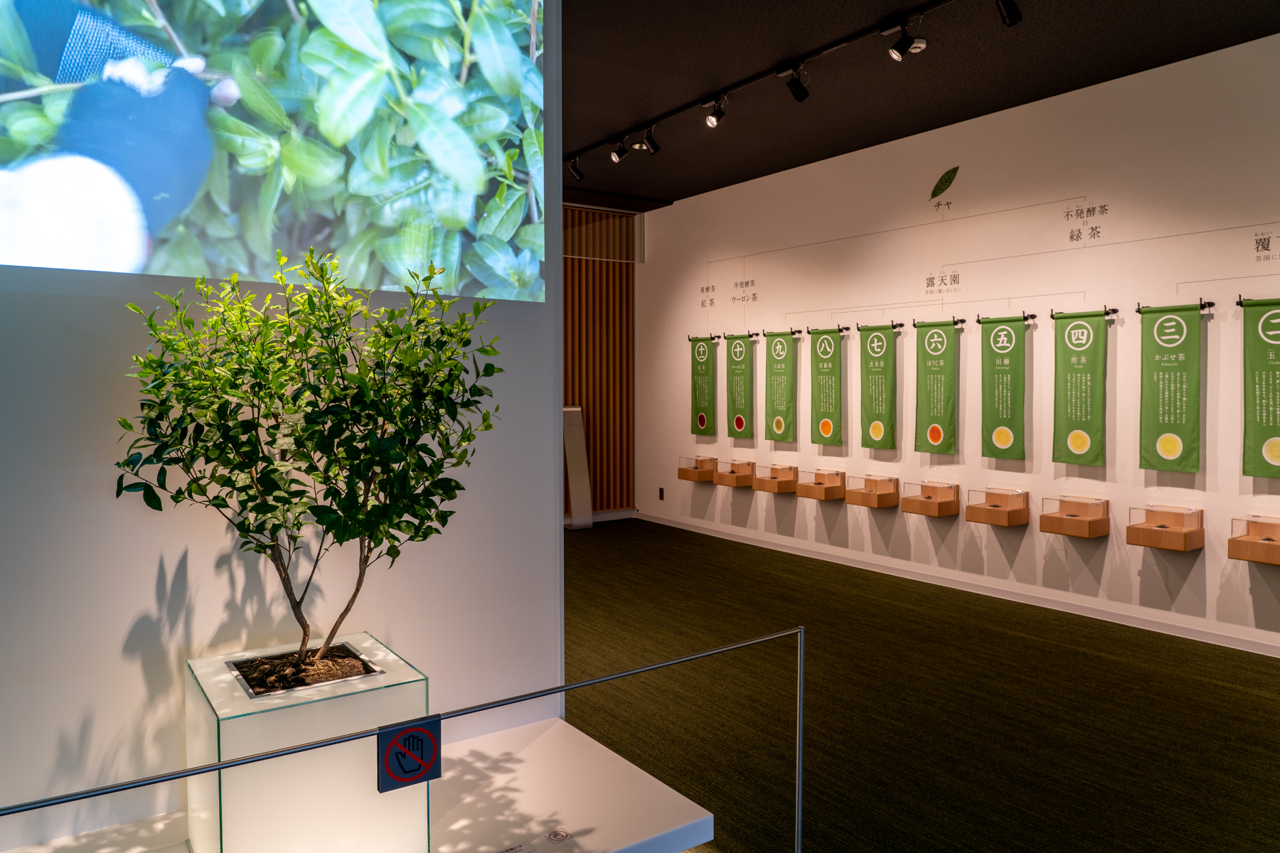 お茶と宇治のまち歴史公園 茶づな ミュージアム