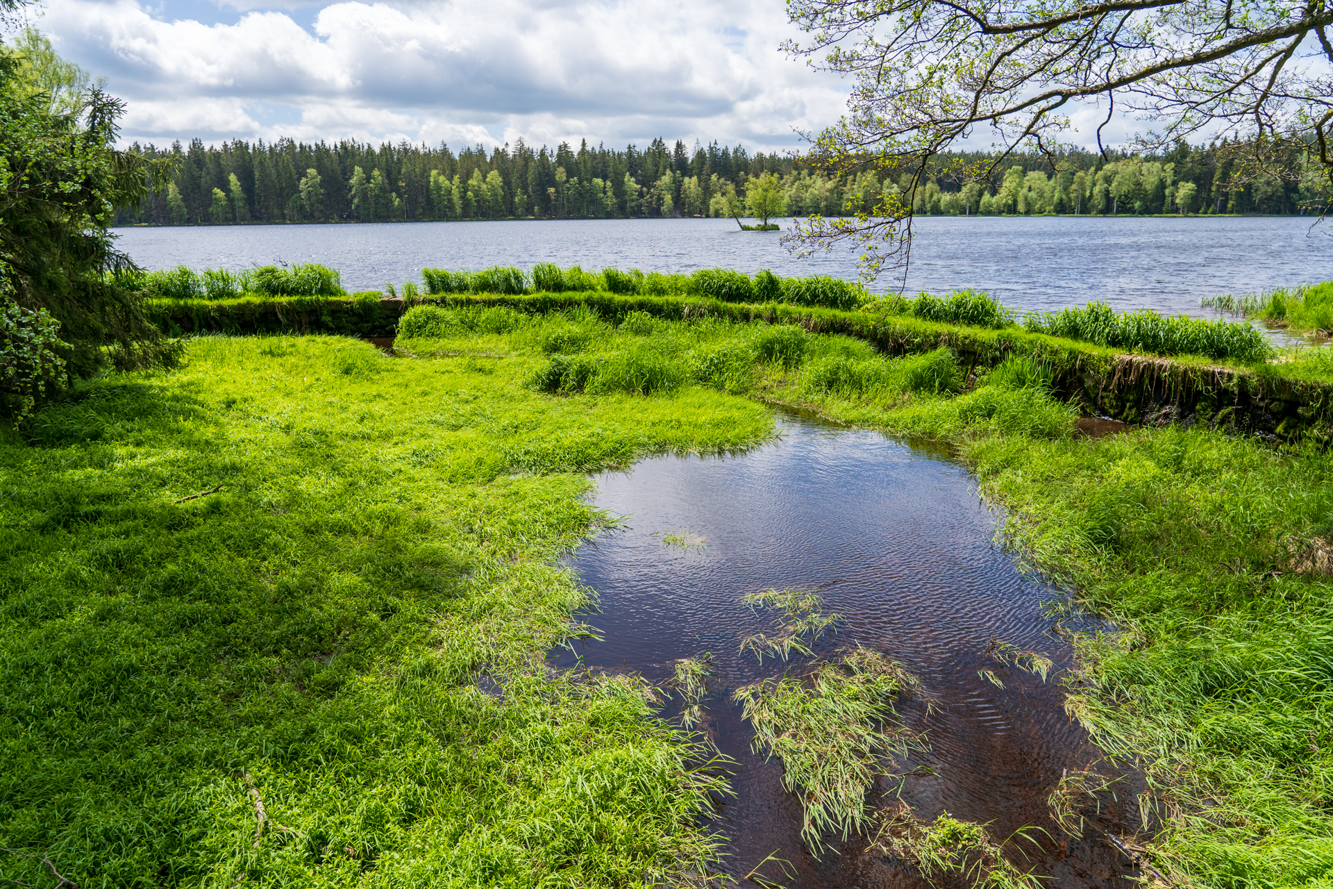 マリアーンスケー・ラーズニェの温泉水（鉱泉）は、このクラドスカー自然保護地区から来ています