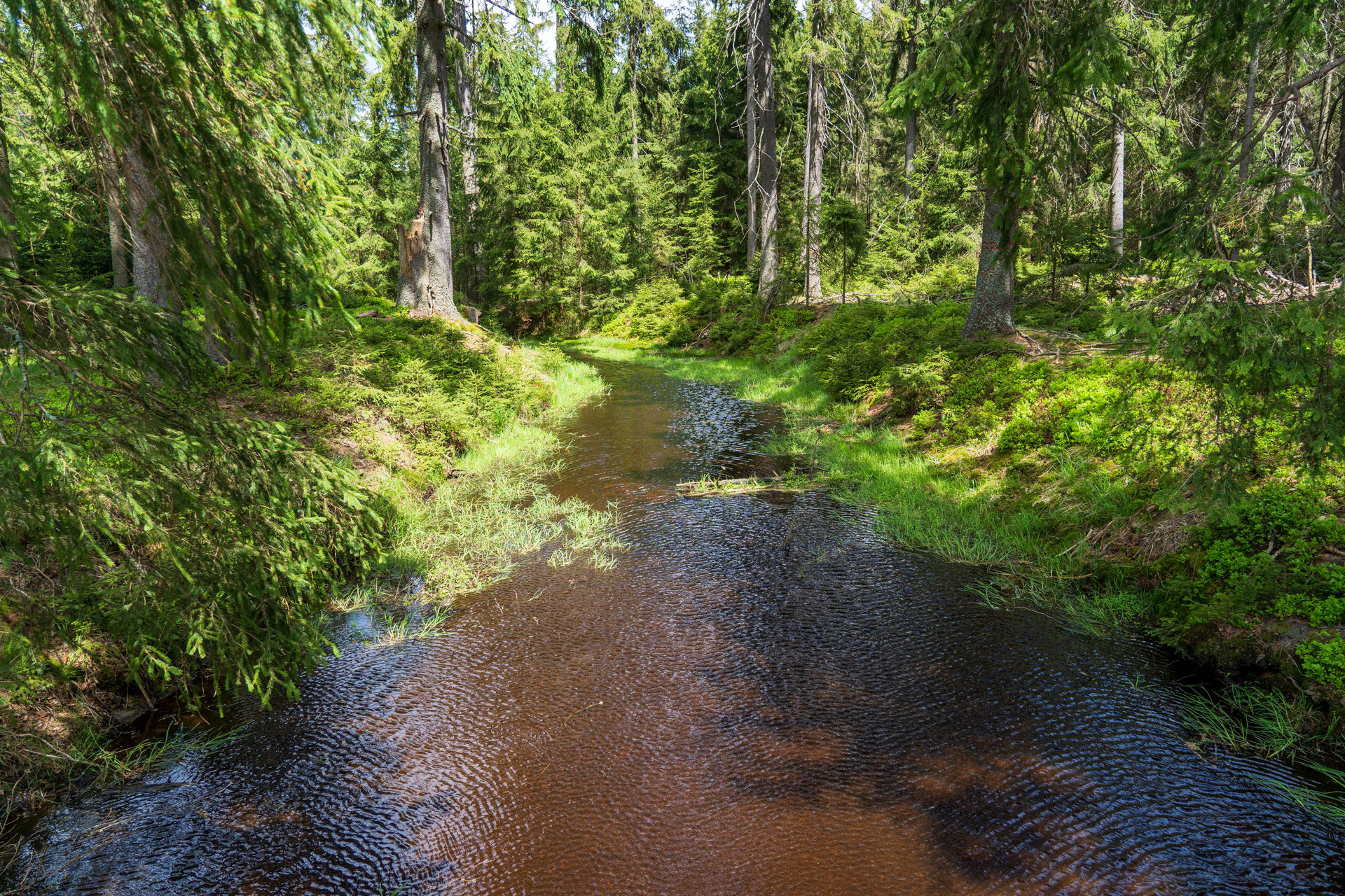マリアーンスケー・ラーズニェの温泉水（鉱泉）は、このクラドスカー自然保護地区から来ています
