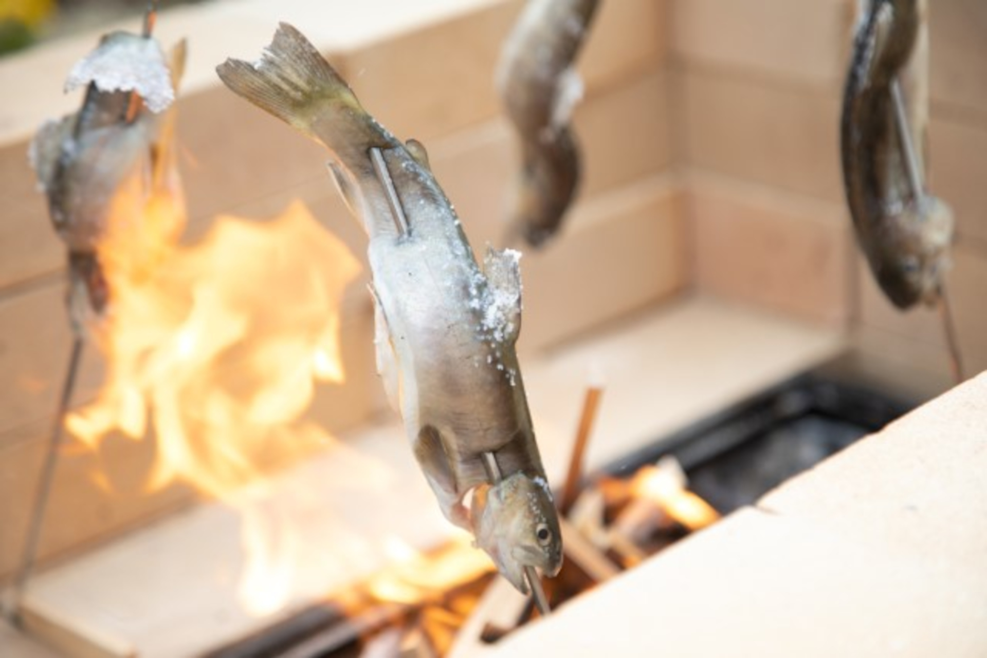 こだわり料理の数々は「自分の子どもや孫たちに安心して食べさせられる」を基準に地元の新鮮食材を厳選