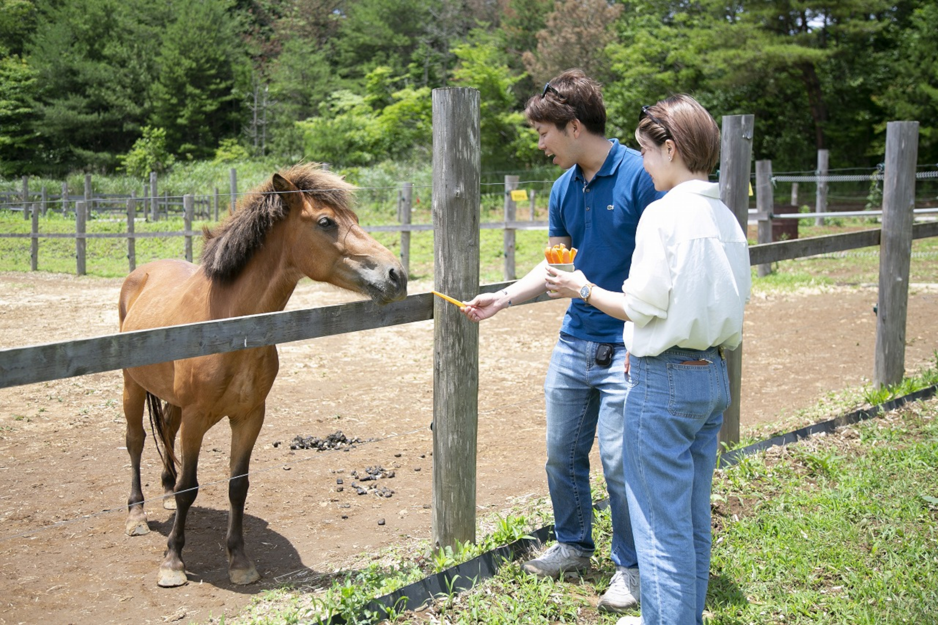 宿周辺には動物に餌やり体験できる「伊豆の国うま広場」や散策スポットの「らららサンビーチ」もある