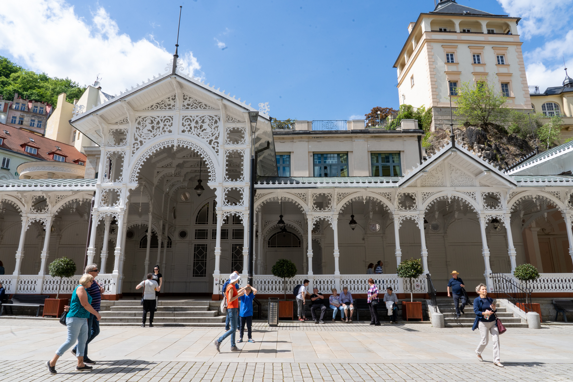 レースのような可愛らしい装飾が目を引きます