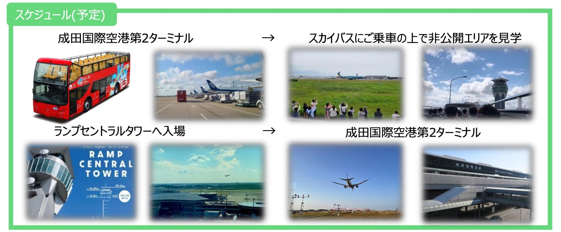 スケジュール