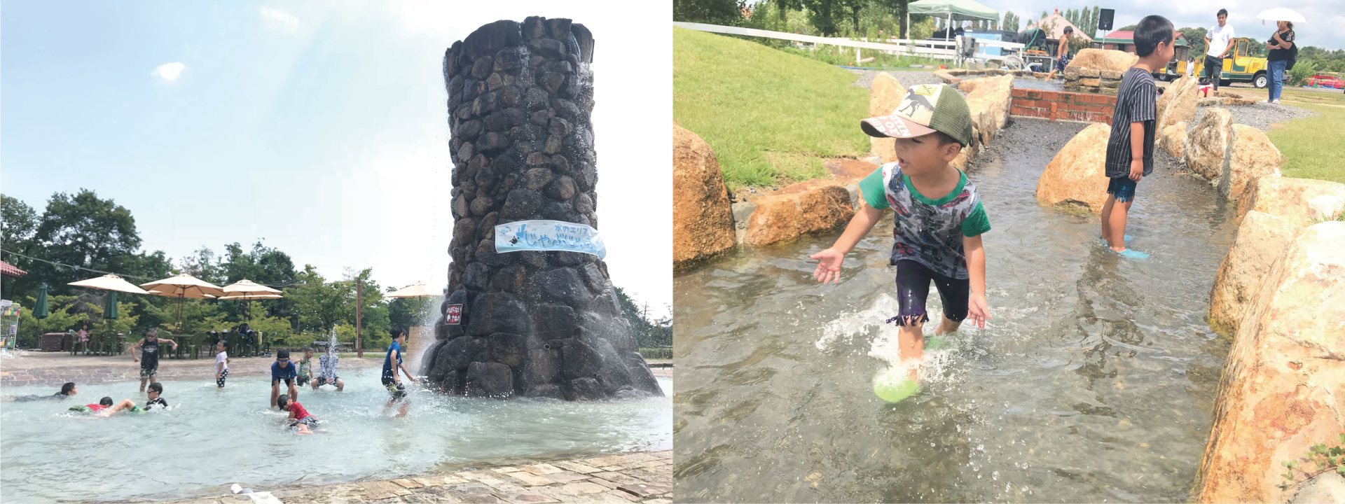 水エリアの様子