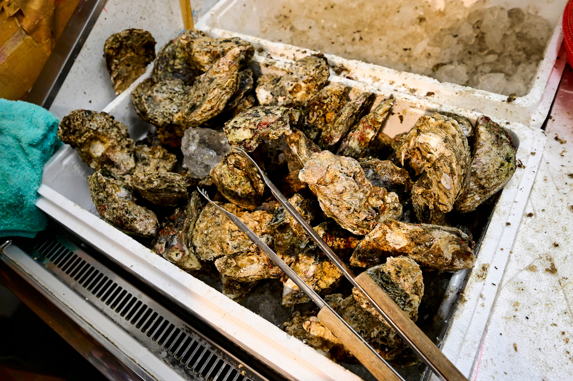 なかでも注目すべきは天然の岩牡蠣。殻ごと購入して剥き場で食べられるようにしてくれる