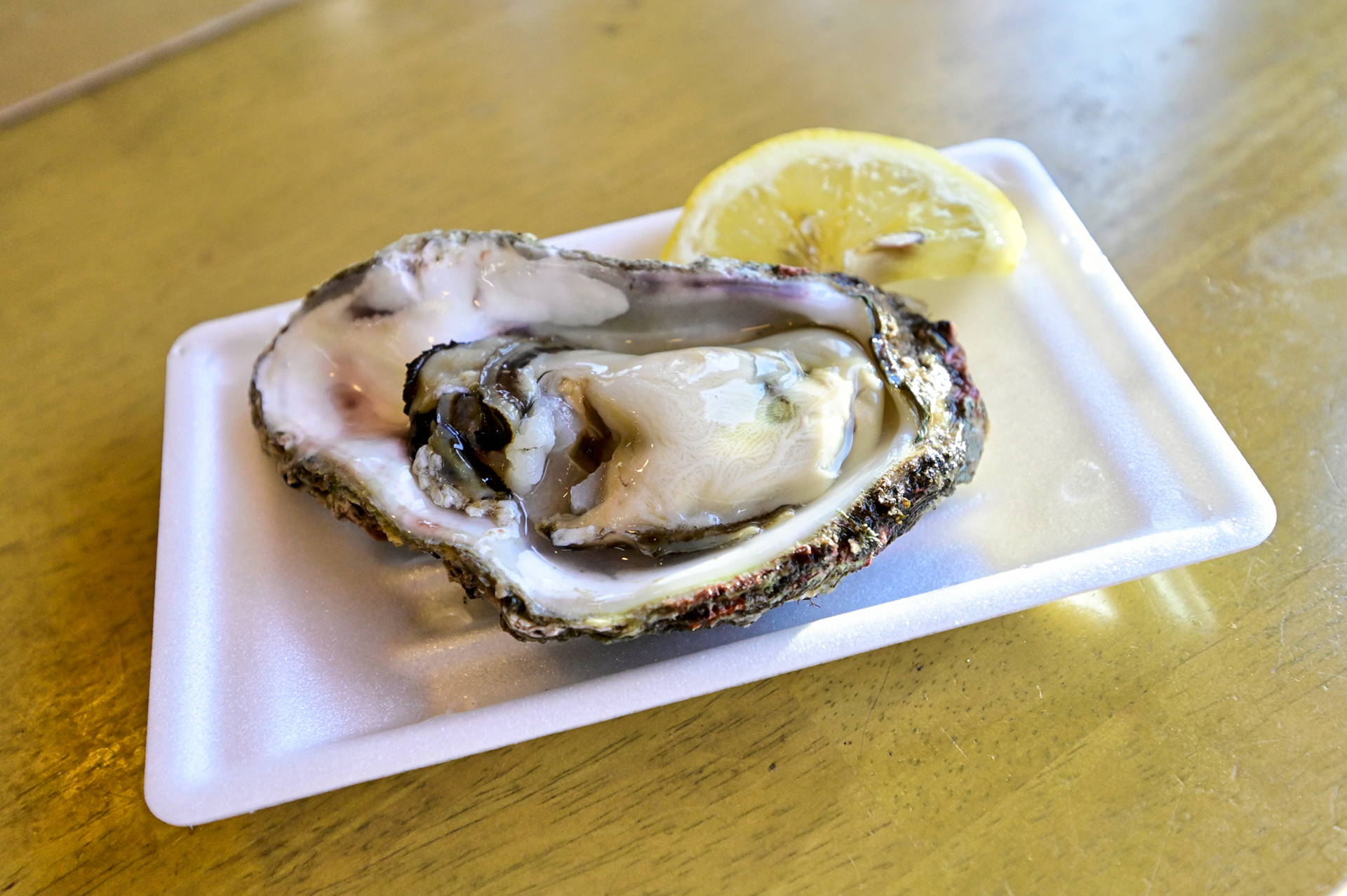 道の駅で天然の岩牡蠣を食べられるとは!!　恐るべし庄内