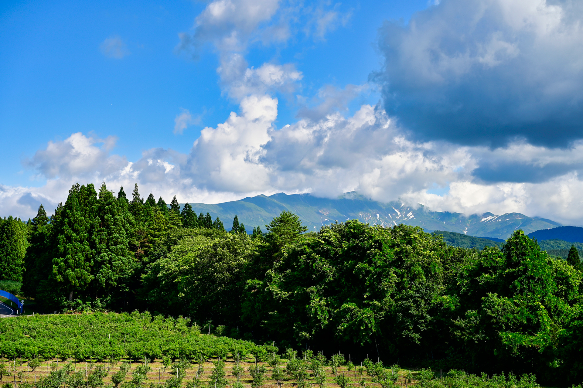 出羽三山に囲まれた自然豊かなロケーションが最高。思わず深呼吸してしまう
