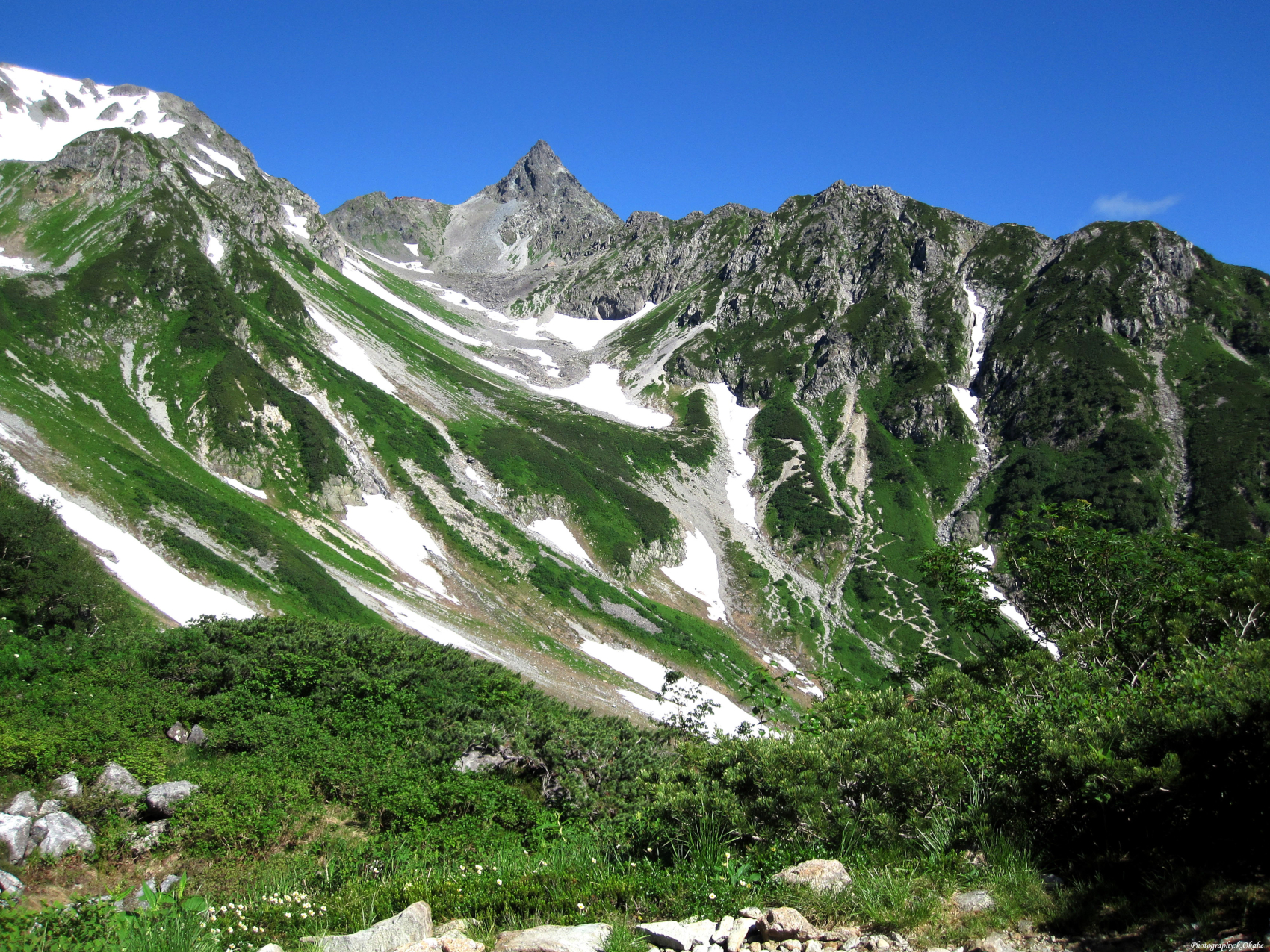プロジェクトの一環として「松本高山間ルート名称投票キャンペーン」を実施中