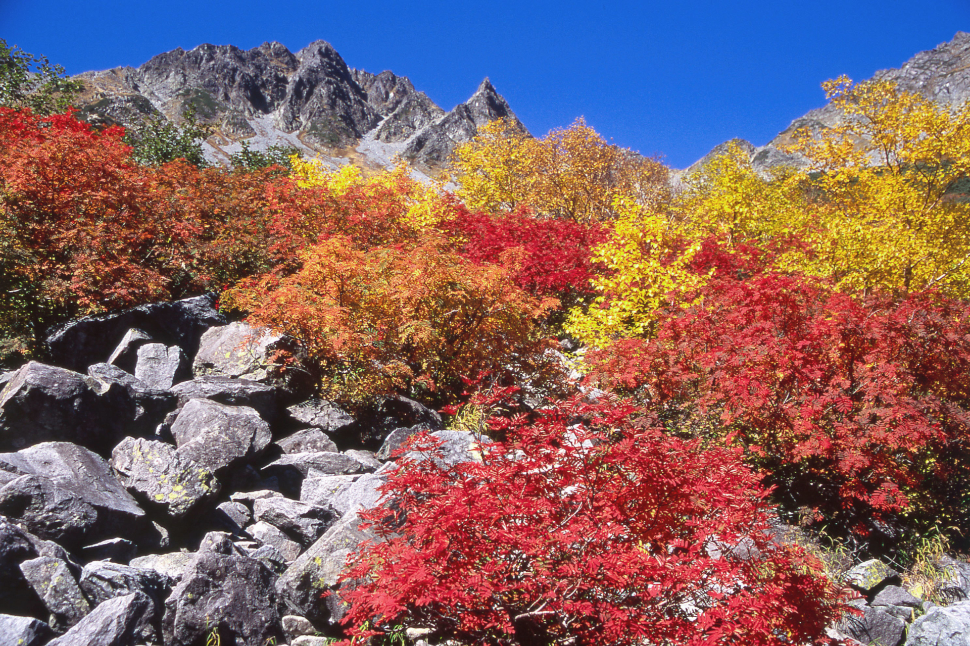 中部山岳国立公園を挟む松本市～高山市の横断ルートには3000m級の北アルプスをはじめ、四季折々の風景や歴史ある街並み、温泉、高原アクティビティなど、さまざまな魅力が点在する