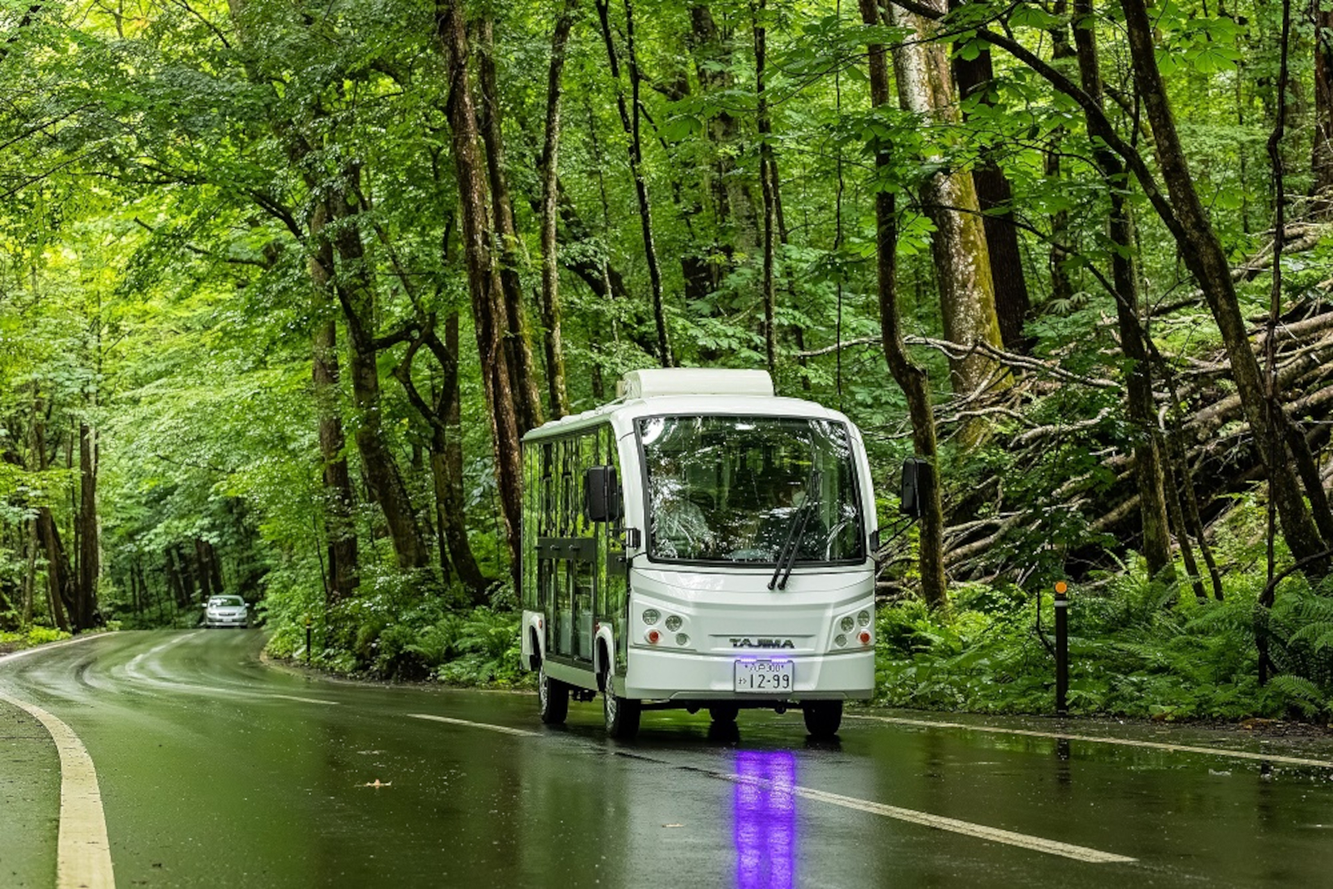 グリスロは時速20kmでゆっくりと走る静穏バス。周囲は透明ガラスで視界が広く、足元まで奥入瀬の森を感じられる