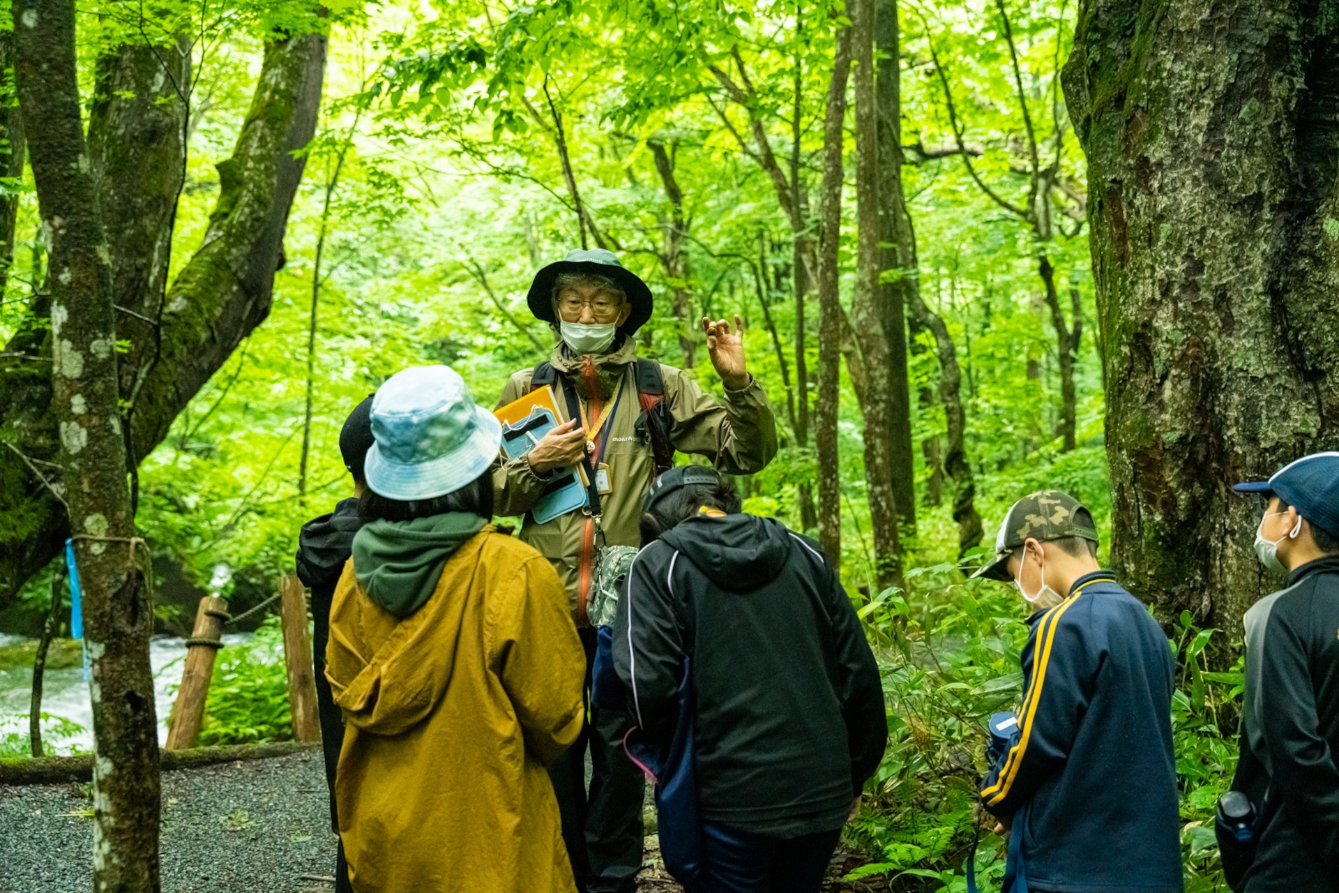 景勝地や観察スポットではフィールドに降りて、ガイドと一緒に奥入瀬の自然を楽しむ