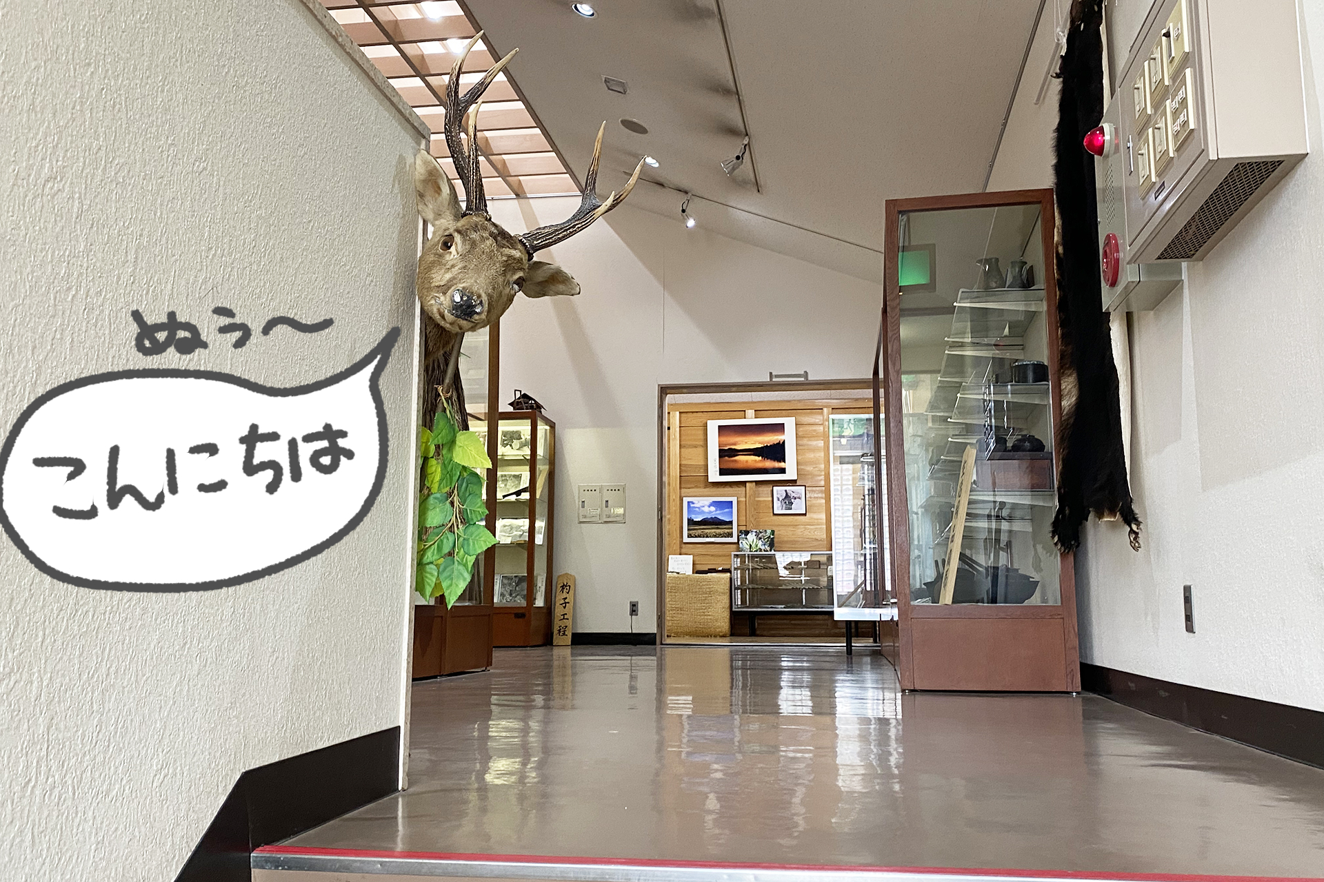 階段を上がっていくと2階から鹿（剥製）が顔を出していてビビります