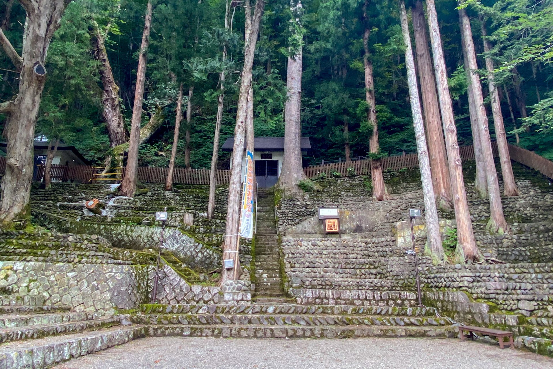 舞台側から石段の観客席を観たところ。公演当日はここがびっしりと観客で埋まります