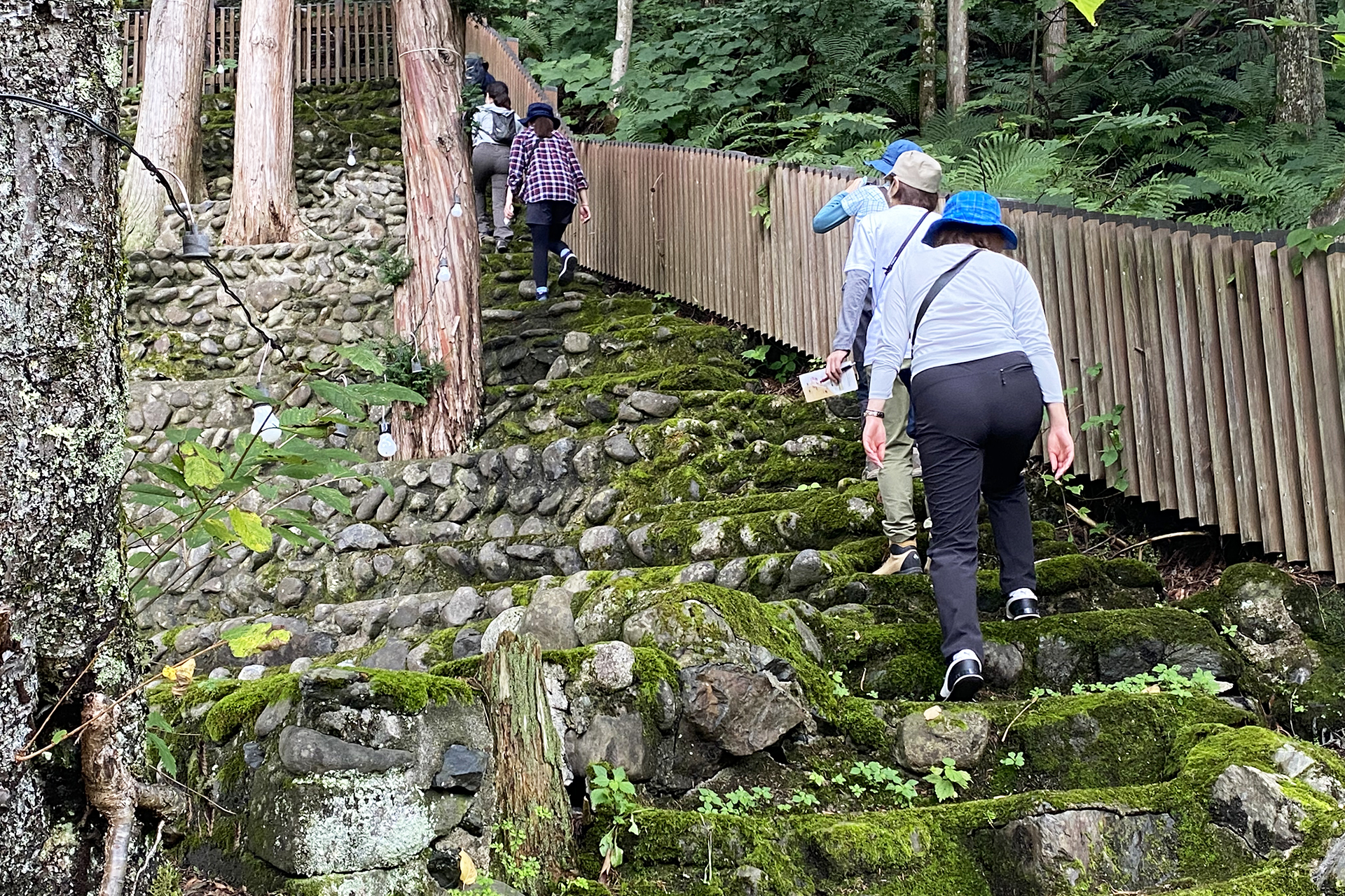 急斜面なので上りが大変ですが、下りも大変