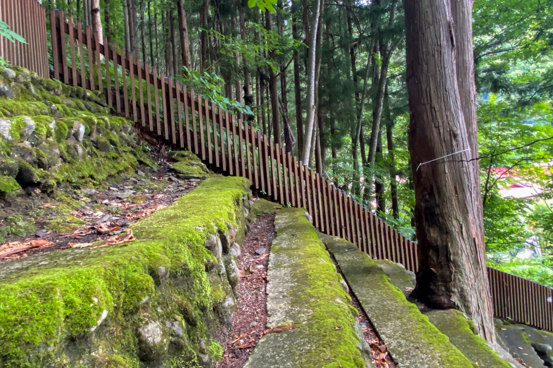 急斜面なので上りが大変ですが、下りも大変