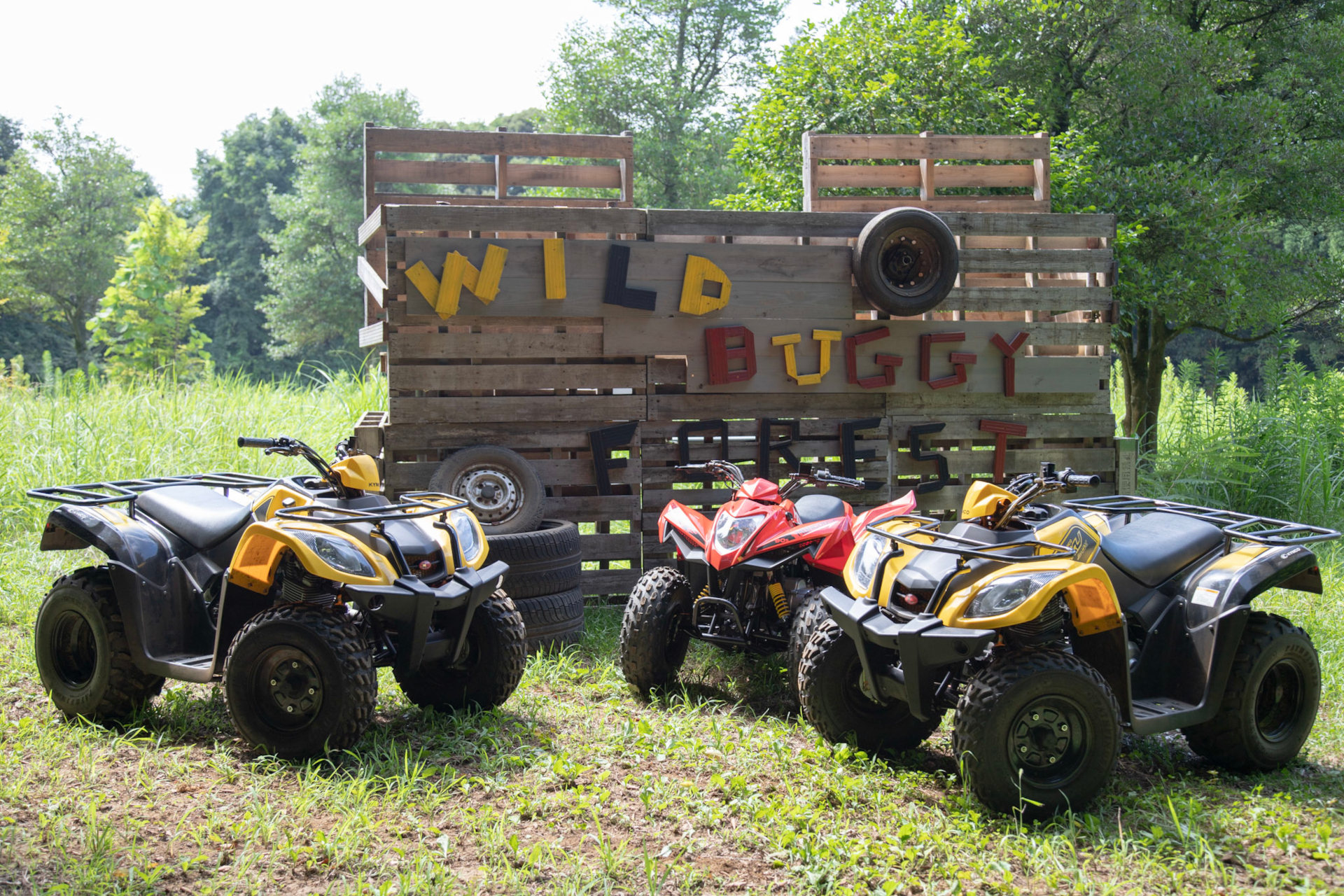 森のなかの貸切コースで自由なドライブが楽しめる「WILD BUGGY FOREST」