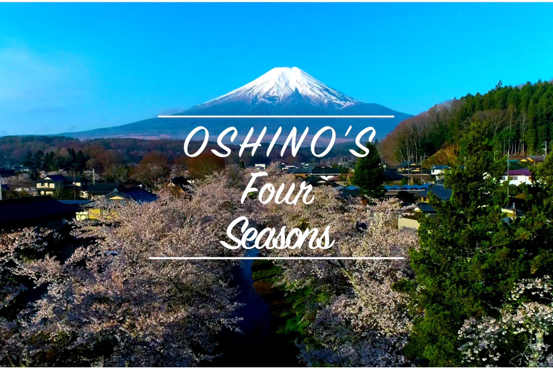 総集編〜OSHINO'S Four Seasons〜