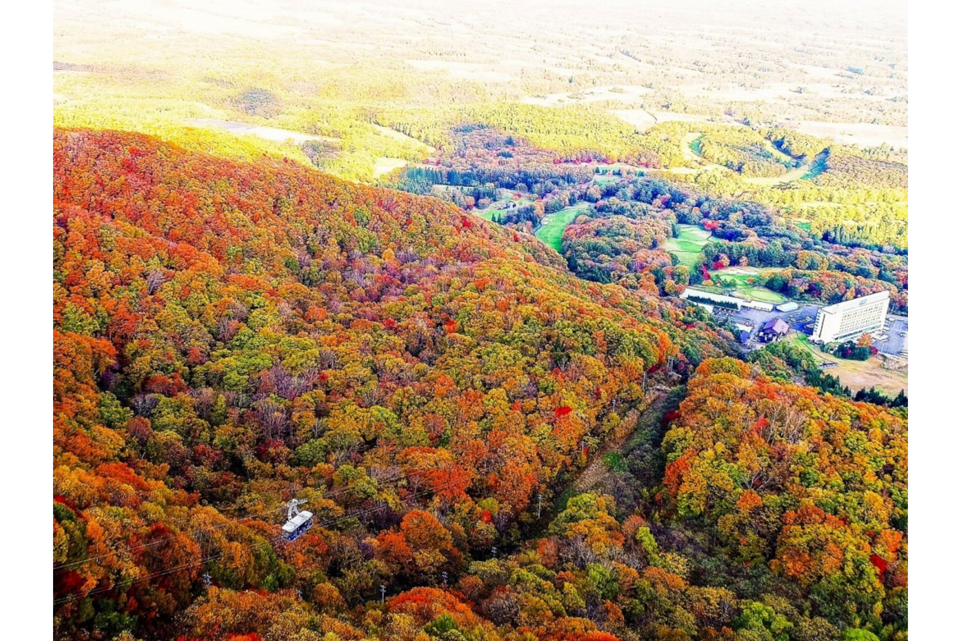 上空からの景色