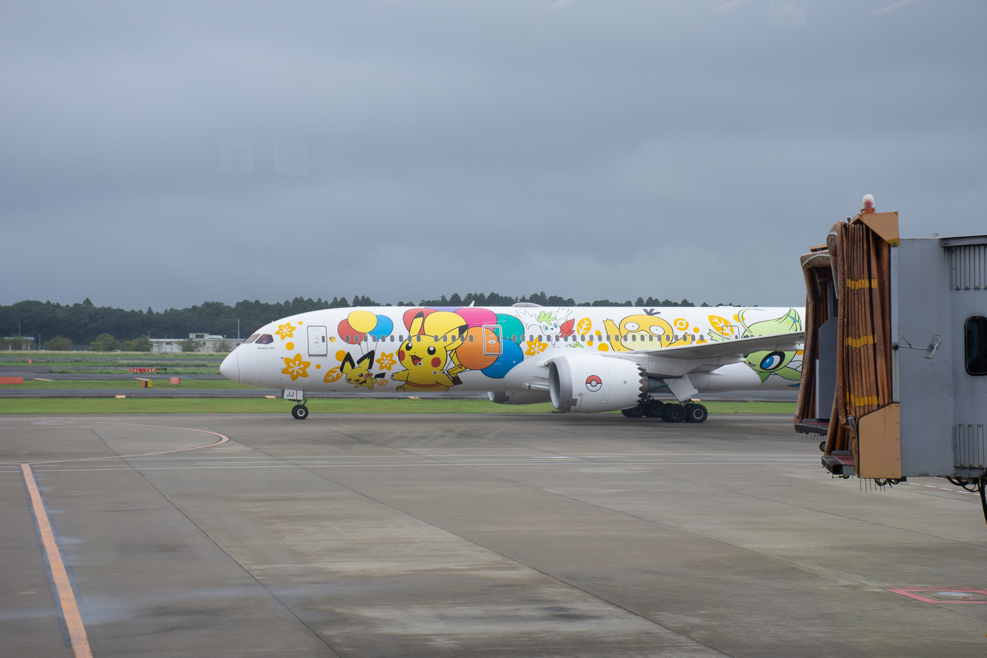 シンガポール発のTR808便が成田に到着