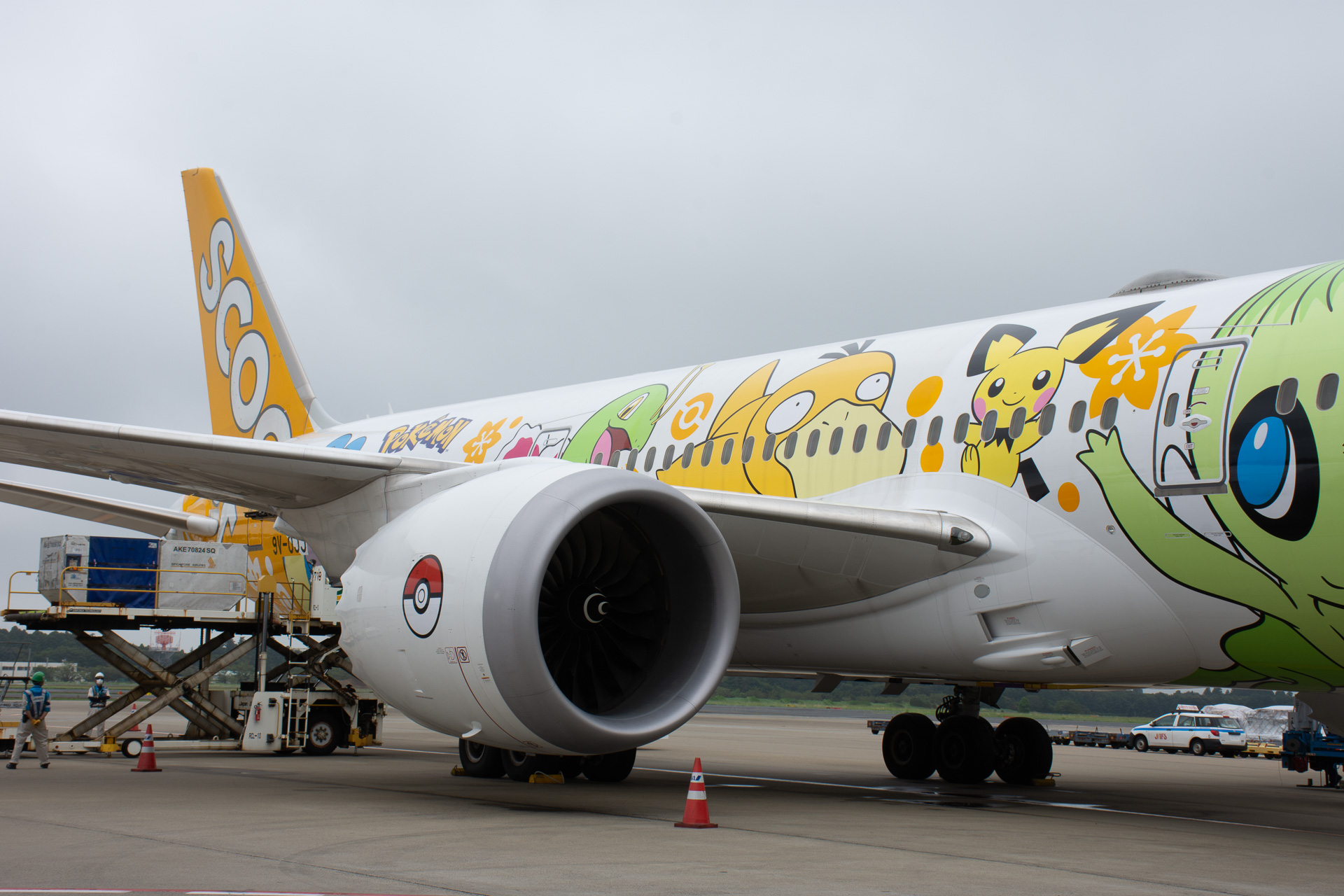 機体の両側面には、ピカチュウとピチューをはじめ、楽しげなシェイミ・コダック・ラプラス・セレビィ・メガニウムを描いた