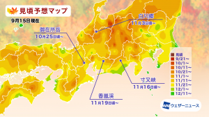 東海の見頃予想