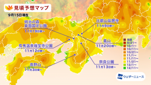 近畿の見頃予想