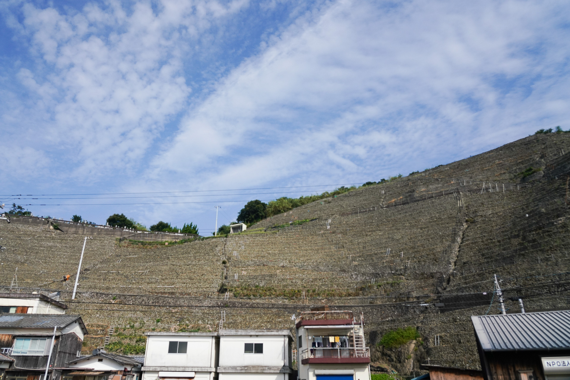 地上から見上げる「遊子水荷浦の段畑」