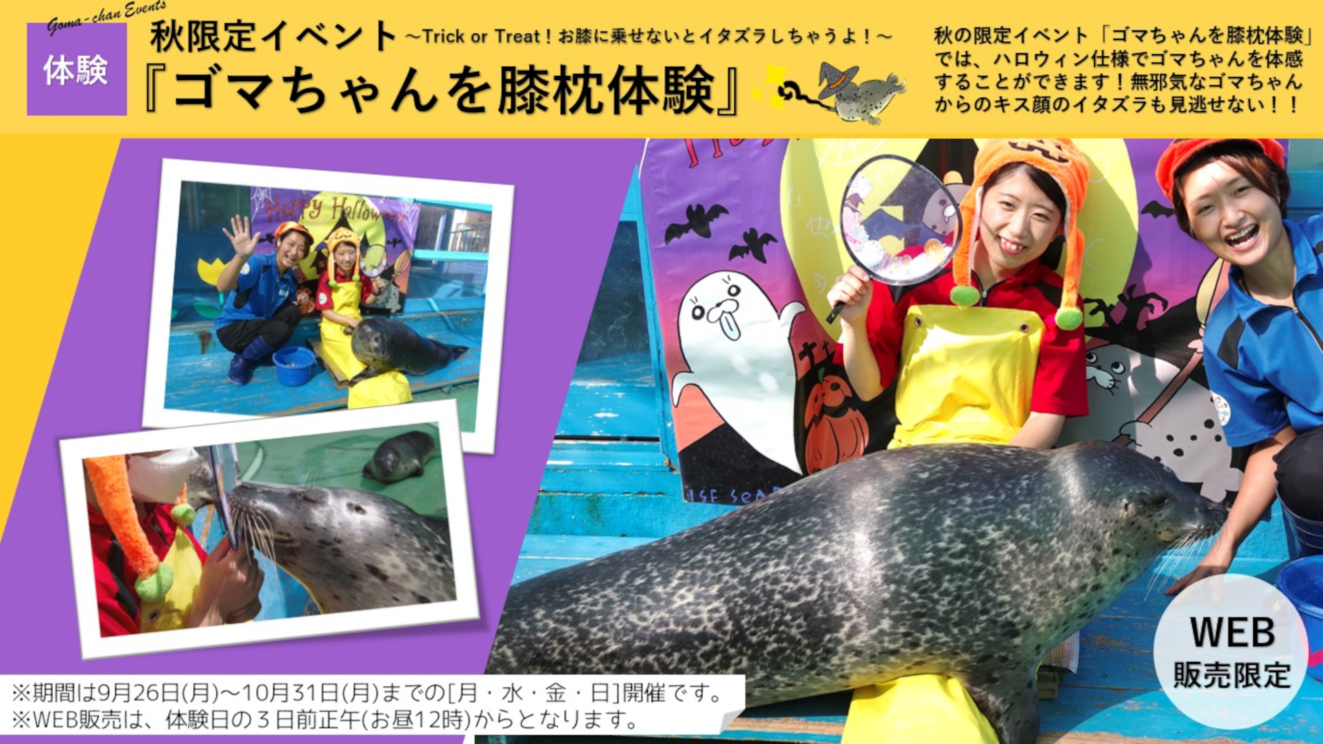 伊勢シーパラダイスが秋限定の「ゴマちゃんを膝枕体験」実施