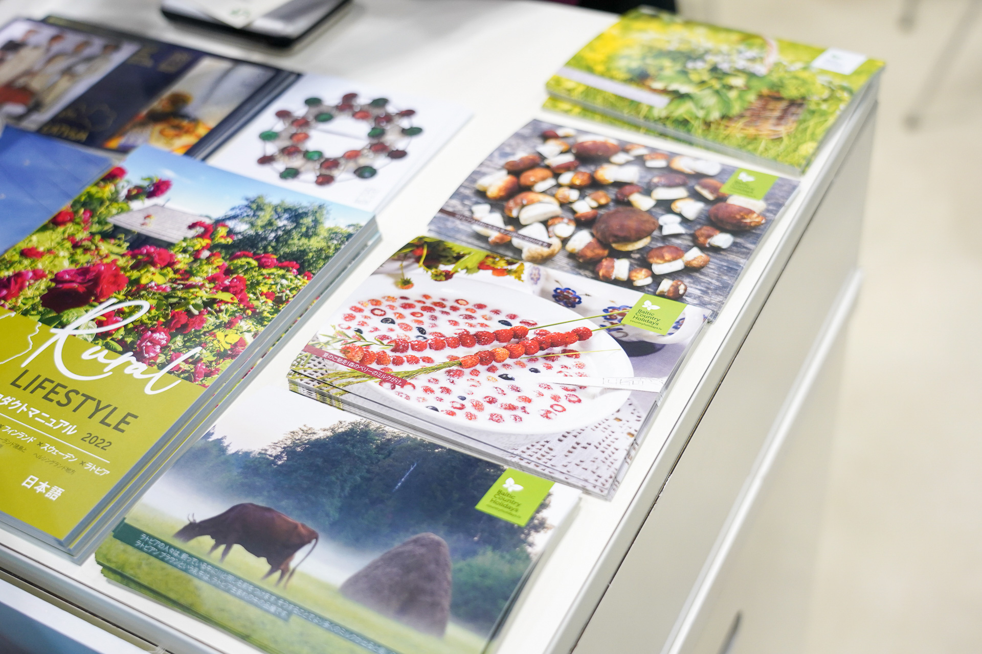 絵はがきは4種類ある。きのこがかわいい