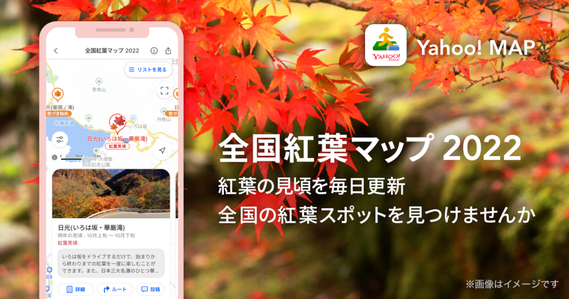 Yahoo! MAPで「全国紅葉マップ 2022」の提供開始