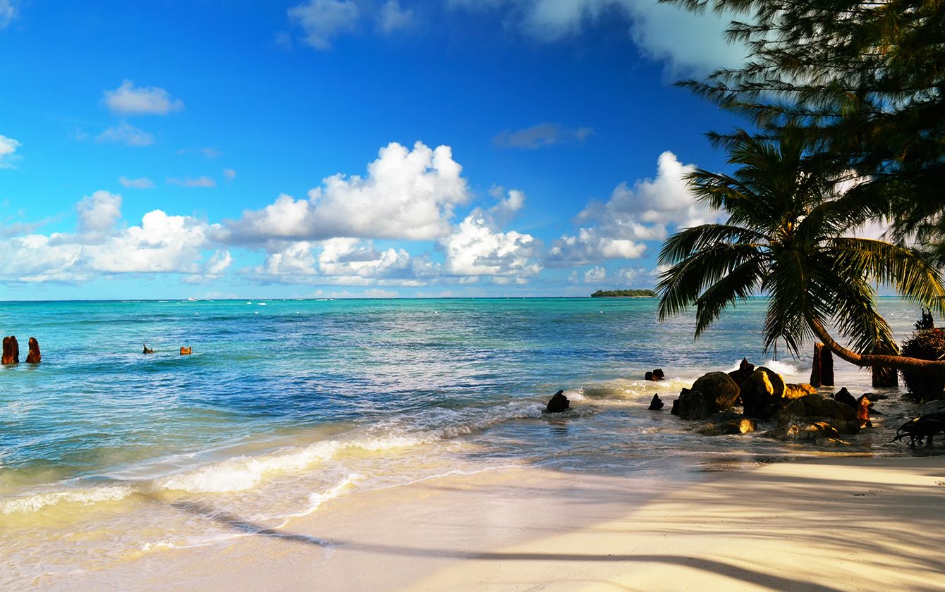 海の透明度が高い