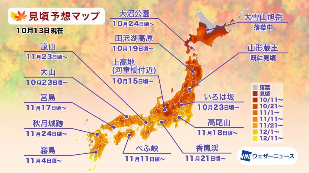 第二回紅葉見頃予想を発表