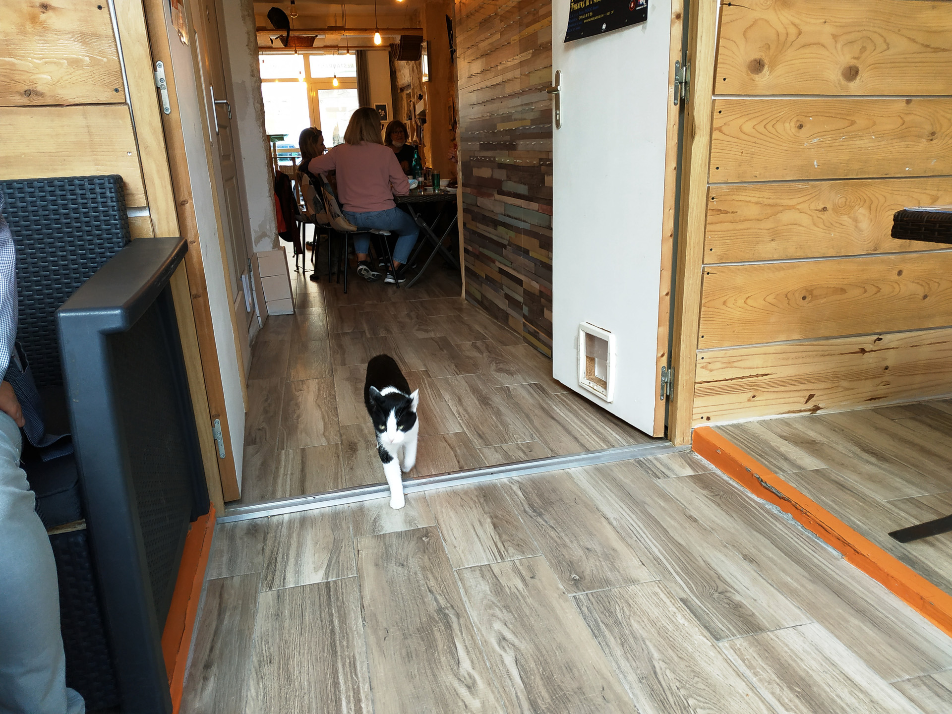 保護猫カフェ