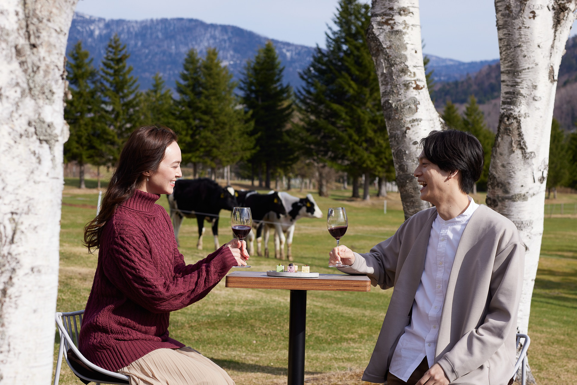 乳製品のたんぱく質や脂肪分がワインの味わいをまろやかにし、渋みや酸味を柔らかくするといわれる