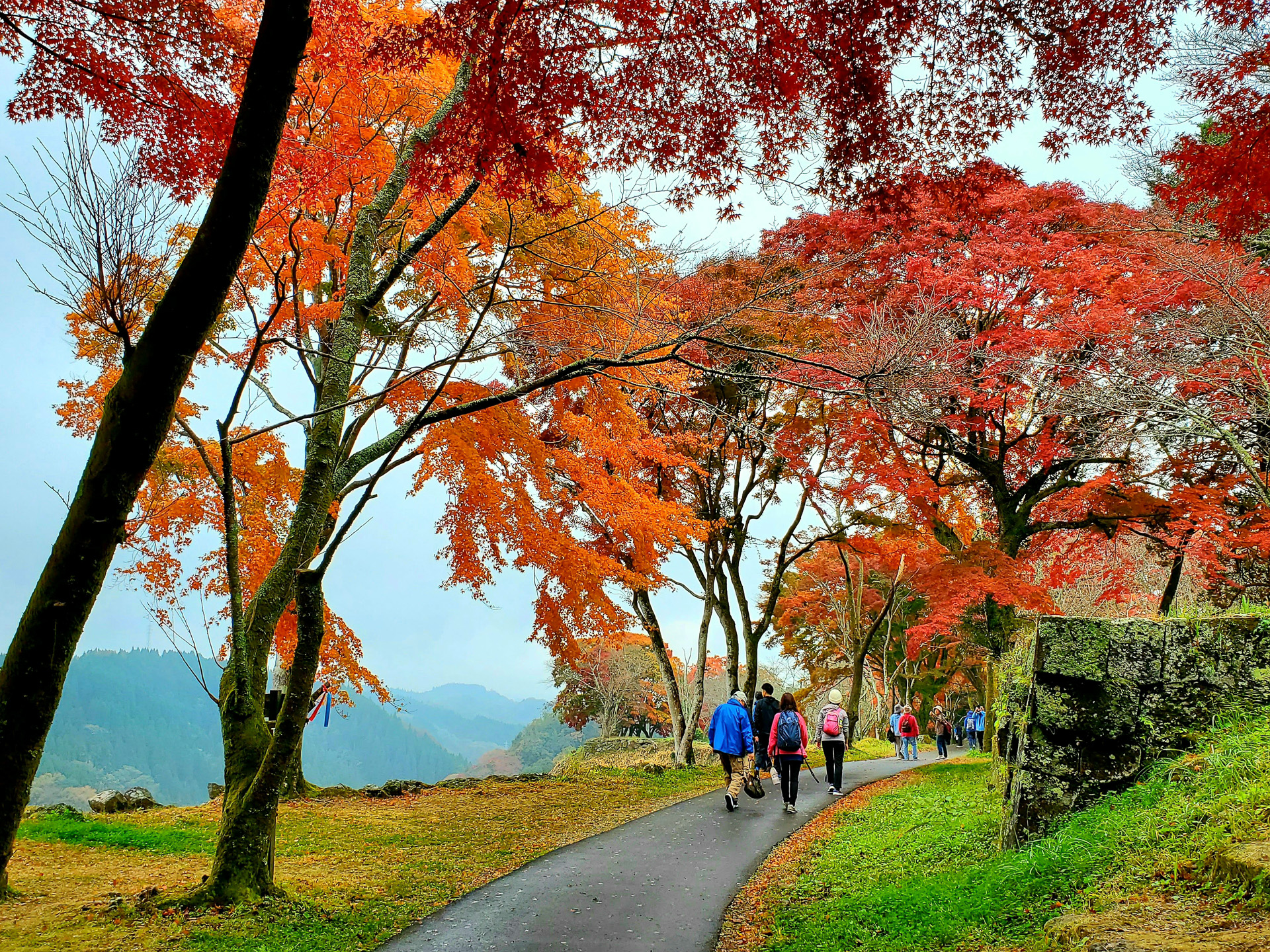 岡城跡の紅葉