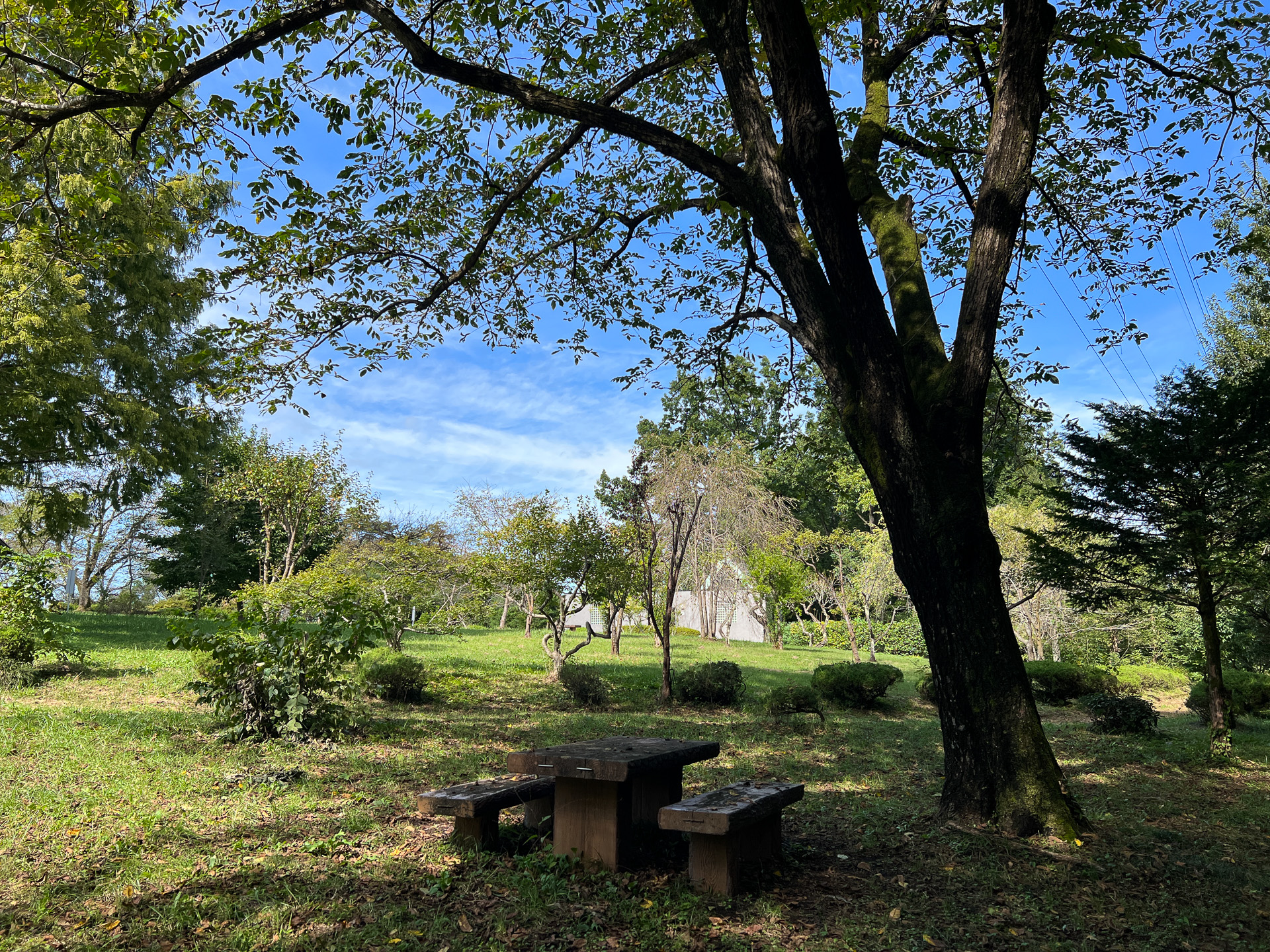 秋の始まりの羊山公園