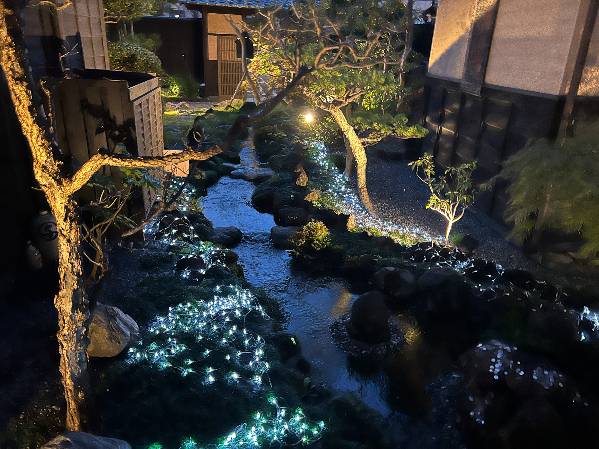 キラキラの天の川に癒されます