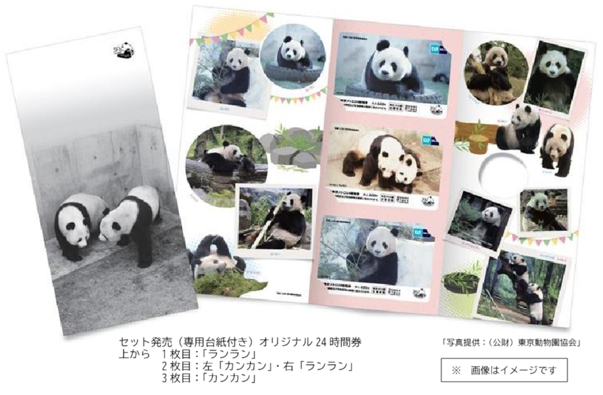 東京メトロはジャイアントパンダ来園50周年記念の「オリジナル24時間券」を発売する