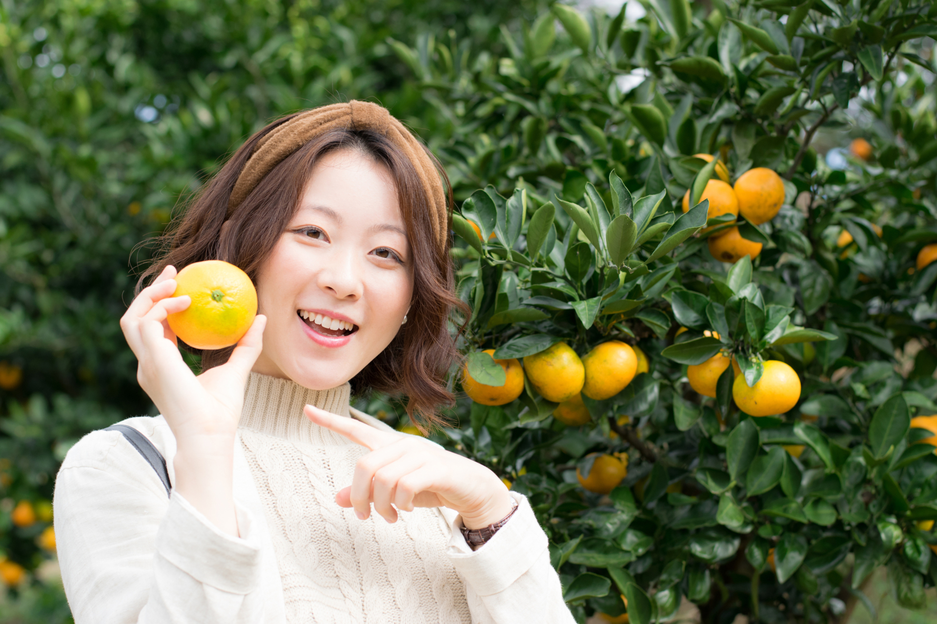 10月～1月は温州みかんが食べごろ