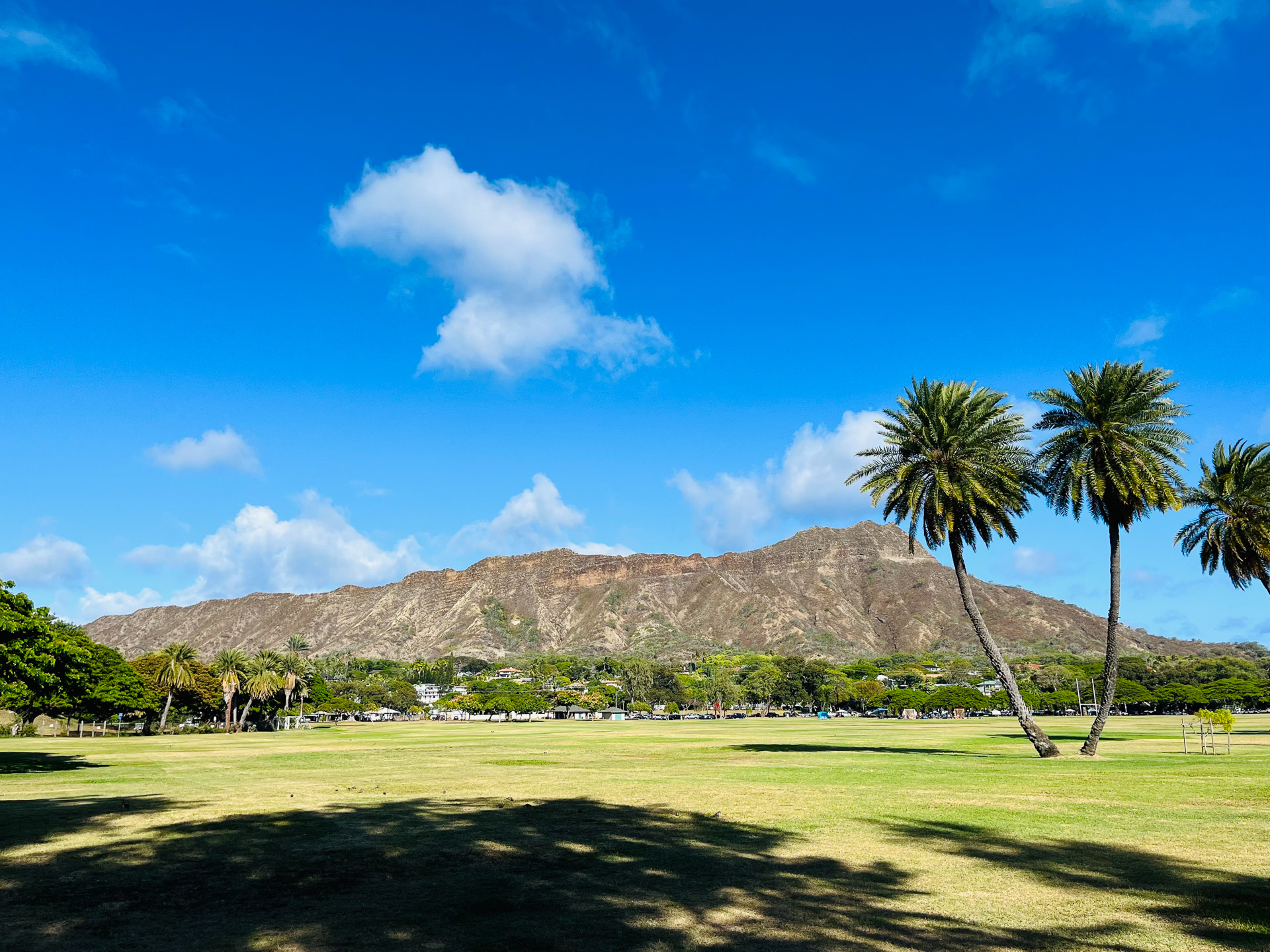 今は茶色のダイヤモンドヘッドは、まもなく雨季を迎えて緑色へと姿を変える