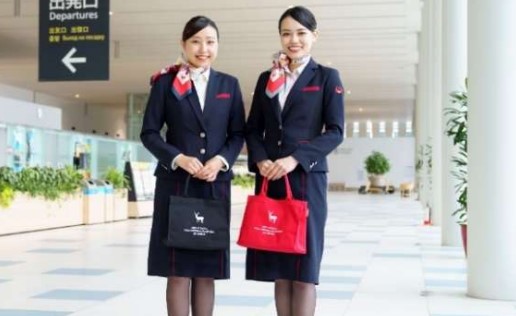 JALスタッフの荷物を参考にしたバッグ（画像は「mini」）