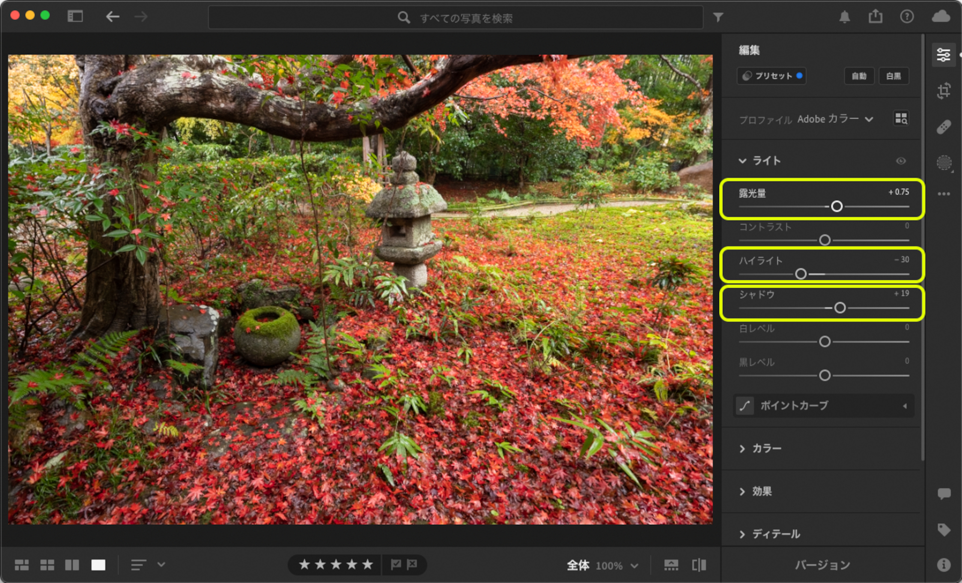 「ライト」パネルの「露光量」や「シャドウ」をプラスに調整すると暗いイメージを取り除くことができる。逆に明るくなりすぎた分は「ハイライト」をマイナスに調整して落ち着かせた