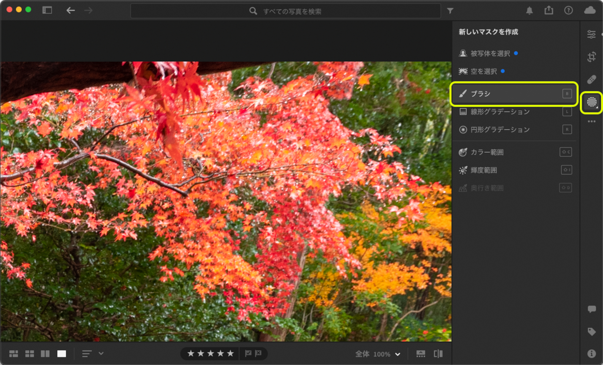 右上の紅葉の部分を拡大表示しておく。「マスク」から「ブラシ」を選んで「露光量」の値をマイナスに設定。「自動マスク」にチェックを入れて、明るい紅葉の葉の各所に対してクリックを繰り返した。「自動マスク」を利用すると、ここで対象としている赤色以外に影響が及ばないので、効率よく部分補正が行なえる