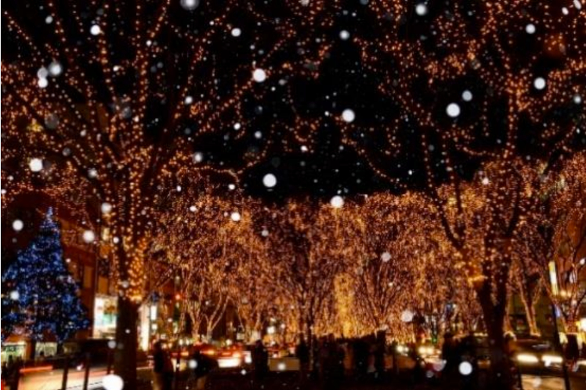 冬の風物詩「SENDAI 光のページェント」は12月9日～25日に開催（写真：宮城県観光プロモーション推進室）