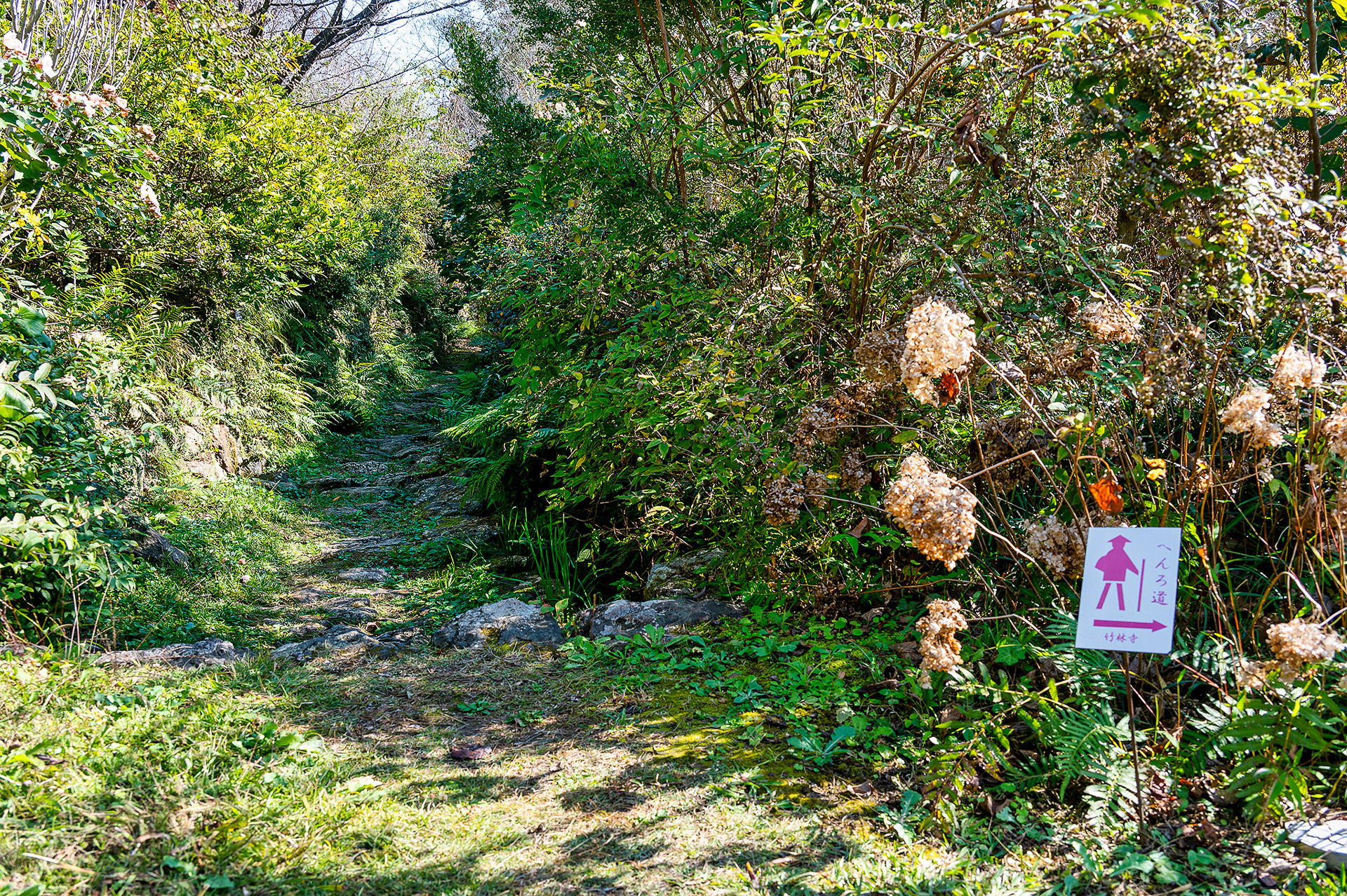 敷地内を「へんろ道」が通っているのは大変めずらしい。31番札所・竹林寺の隣の植物園ならではだ