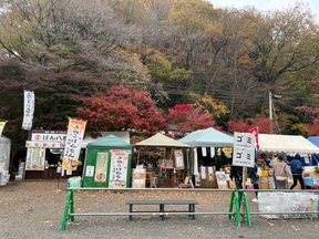 【ボーカリスト琴音の音楽旅】茨城県花貫渓谷は最高の紅葉スポット! キャンプ場でBBQ、温泉で冬直前の秋を満喫 - トラベル Watch