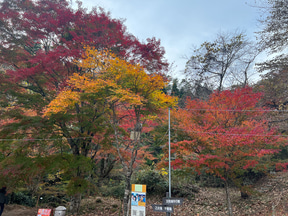 【ボーカリスト琴音の音楽旅】茨城県花貫渓谷は最高の紅葉スポット! キャンプ場でBBQ、温泉で冬直前の秋を満喫 - トラベル Watch