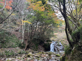 【ボーカリスト琴音の音楽旅】茨城県花貫渓谷は最高の紅葉スポット! キャンプ場でBBQ、温泉で冬直前の秋を満喫 - トラベル Watch