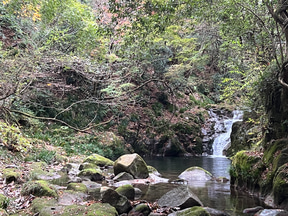 【ボーカリスト琴音の音楽旅】茨城県花貫渓谷は最高の紅葉スポット! キャンプ場でBBQ、温泉で冬直前の秋を満喫 - トラベル Watch